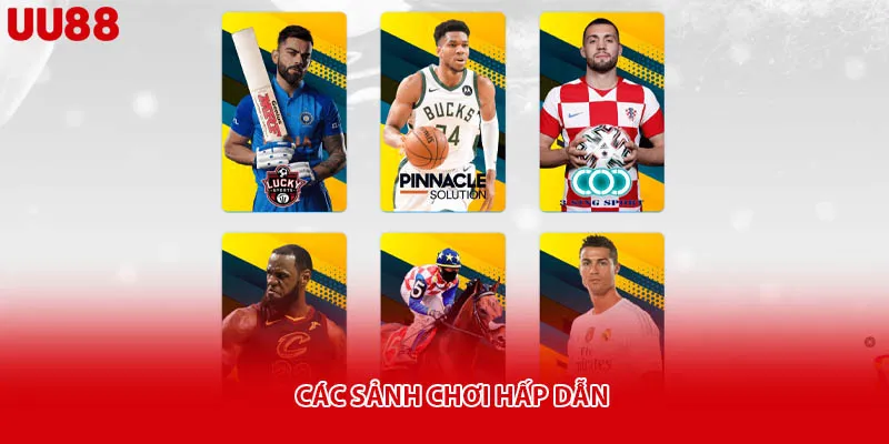 Các sảnh chơi hấp dẫn