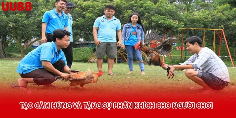 Tạo cảm hứng và tặng sự phấn khích cho người chơi